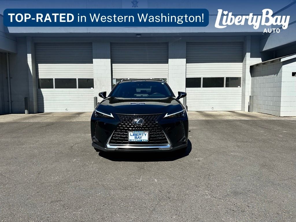 2023 Lexus UX 250h Premium